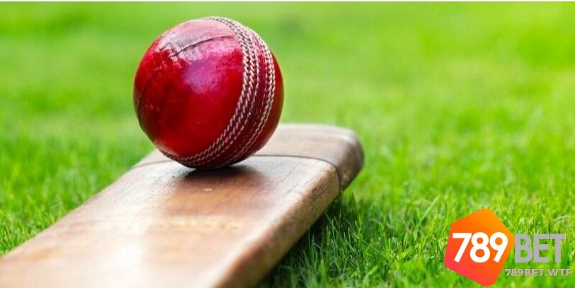 Giải thích cá cược cricket 789bet là gì?